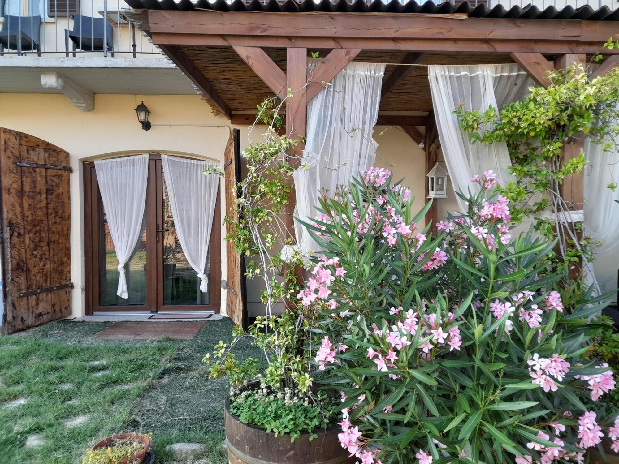 Madama Langa Country House con piscina nelle vigne Montelupo Albese Esterno foto